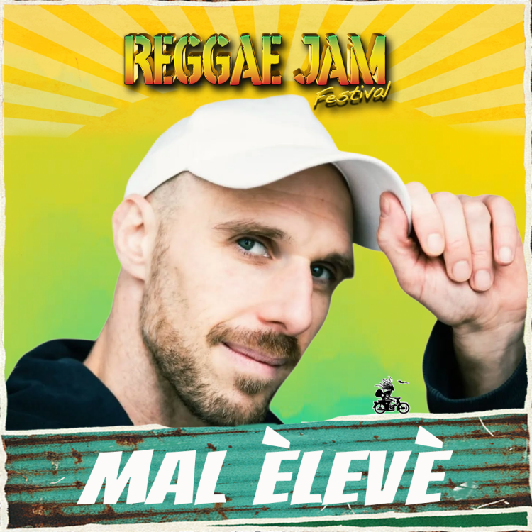 MAL ÈLEVÈ